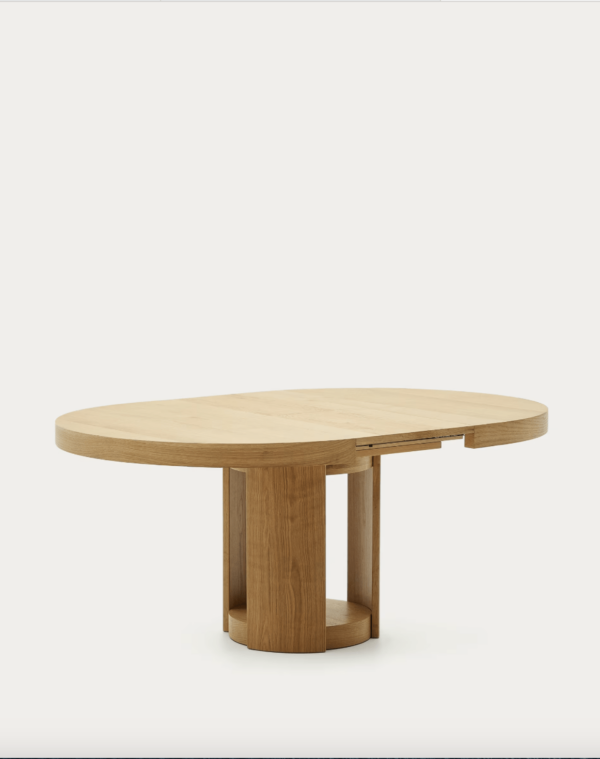Artis - Image 5